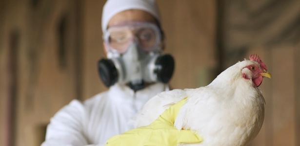  Brasil tem mais quatro pacientes suspeitos de gripe aviária