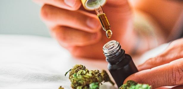  Anvisa proíbe e manda apreender 26 produtos à base de cannabis