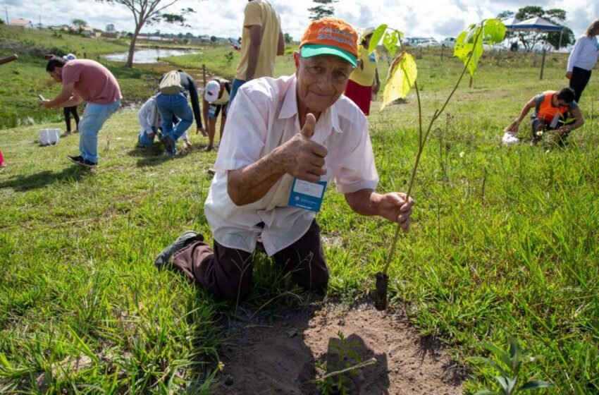  Prefeitura realiza plantio de mudas nativas em nascente junto com idosos vinculados ao CRAS Vila Vargas