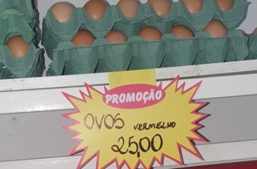  Preço do ovo dispara mais de 20% em 12 meses; Preço da cartela chega a R$ 25 em Medeiros Neto