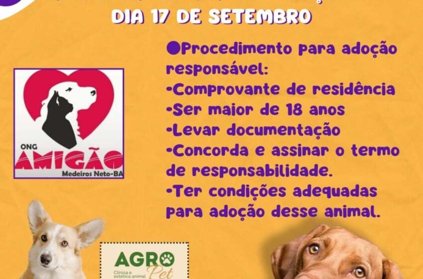  Ong Amigão realizará feira de adoção de cães e gatos no Pet Festival, em Medeiros Neto