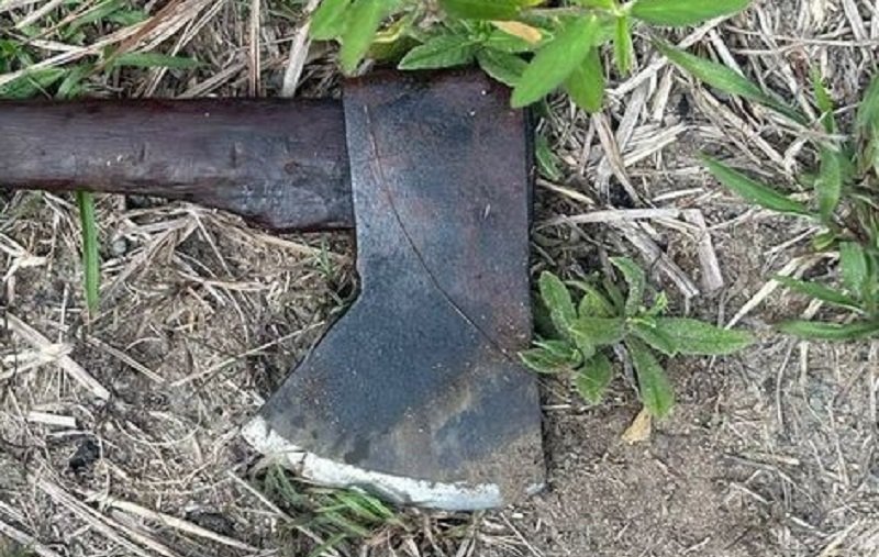 Assassinato na aldeia Barra Velha: artesão indígena morto a machadadas