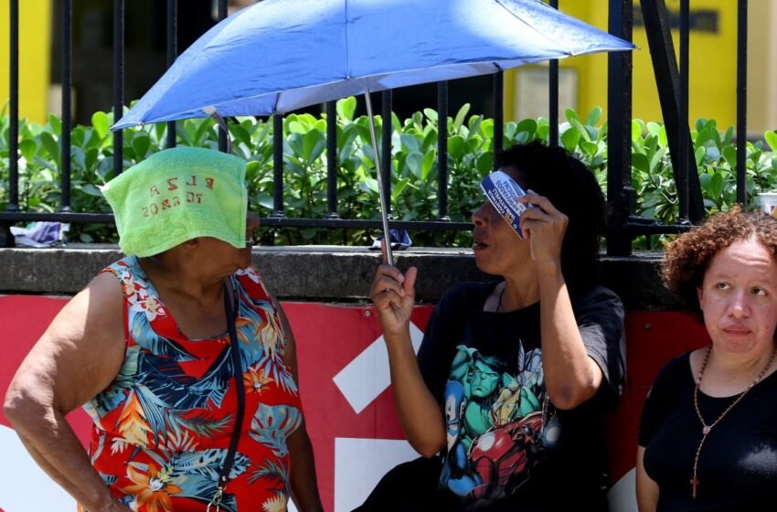  Estudo diz que ano de 2024 será mais quente da história