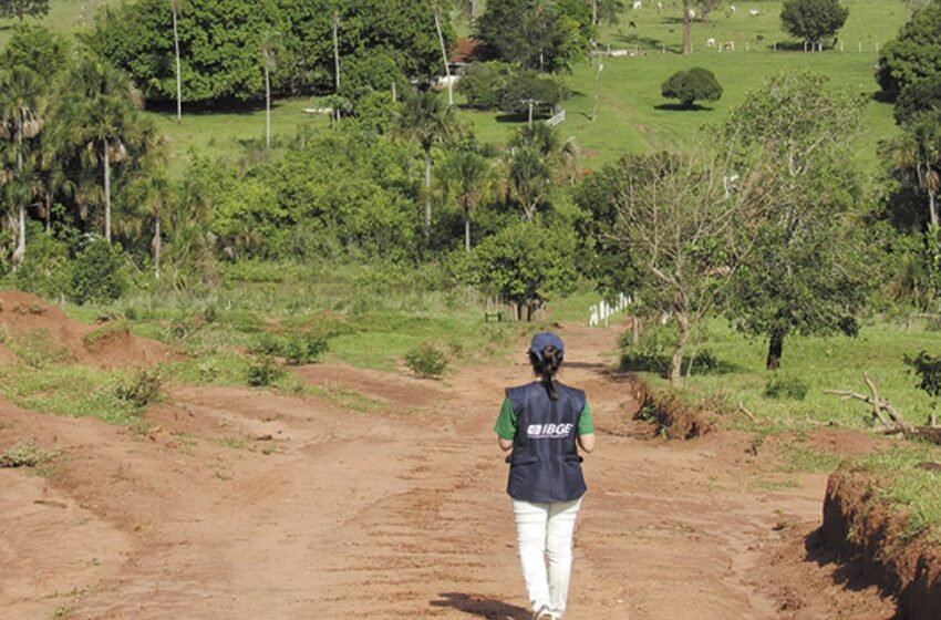  Bahia é o estado com maior população rural do país, aponta Censo