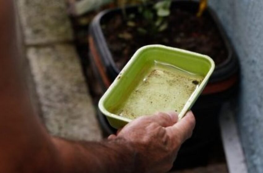  Quase 1 em cada 5 casos de dengue pode ser atribuído à mudança climática, revela estudo