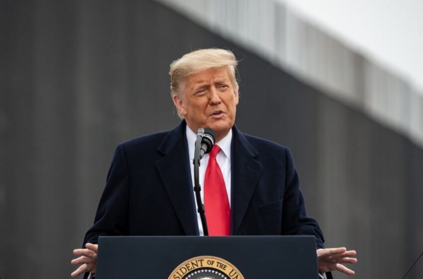  Gabinete do futuro governo Trump está completo; saiba mais sobre os nomes escolhidos