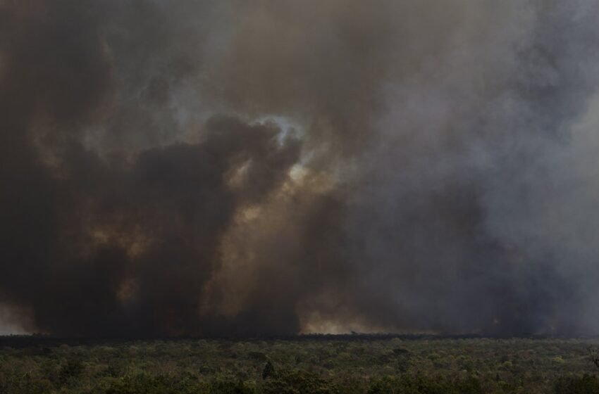  Número de queimadas na Amazônia é o maior em quase duas décadas
