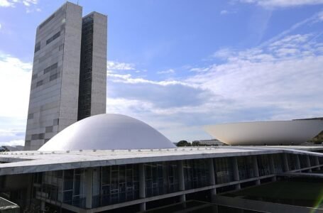 Brasil é eleito para novo mandato no comitê da paz da ONU