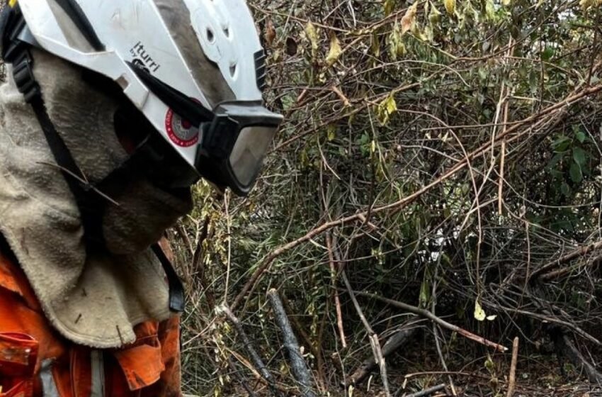  Incêndio na Chapada Diamantina mobiliza força-tarefa com bombeiros e aeronaves