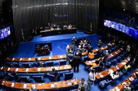 Senado termina 2024 com 11 medidas provisórias aprovadas