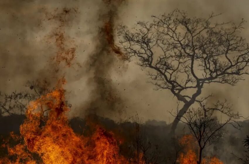  Desastres climáticos crescem 250% no Brasil nos últimos quatro anos