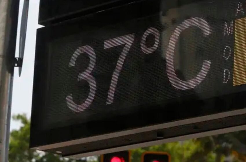  Mundo vive década de calor mortal e 2024 é ano mais quente, diz chefe da ONU