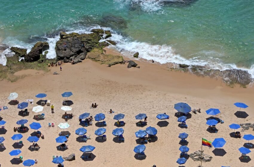  Com rotina de violência e acidentes, trabalhadores das praias de Salvador ganham R$ 70 por dia, aponta pesquisa