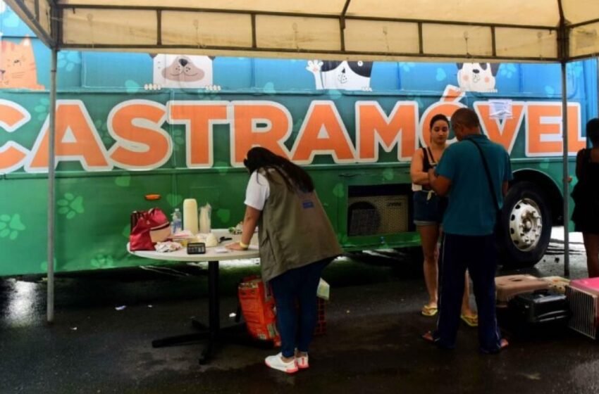  Castramóvel inicia atendimentos gratuitos na Avenida Paralela, em Salvador