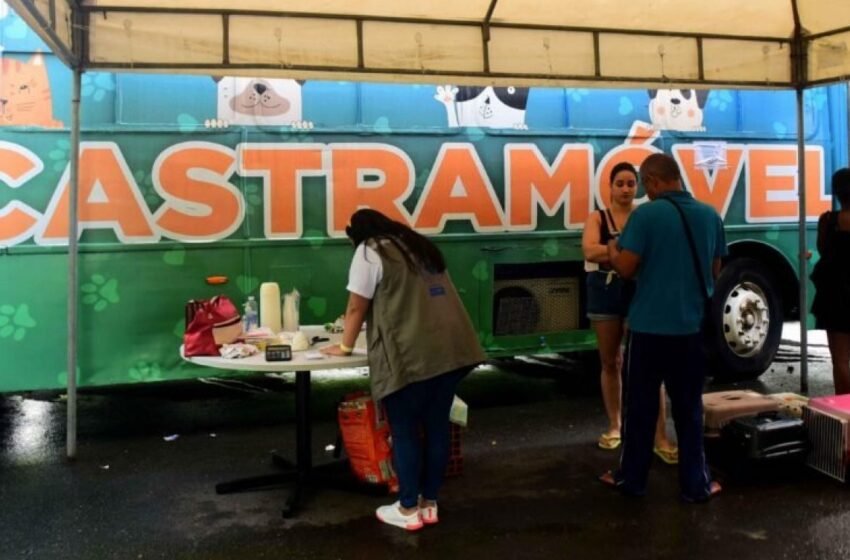  Castramóvel começa atendimentos gratuitos na Avenida Paralela em Salvador