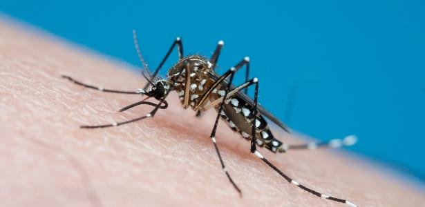  Menos de 11% do público-alvo se vacinou contra a dengue em SP