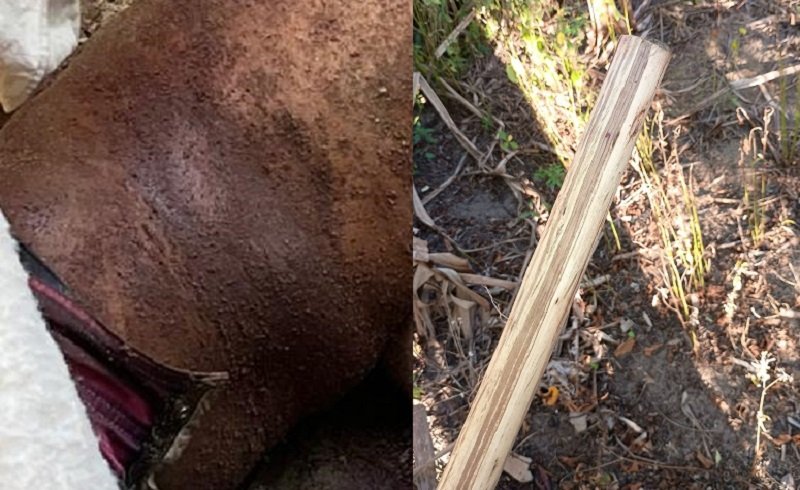 Trabalhador Rural é assassinado em Prado; Polícia investiga motivação